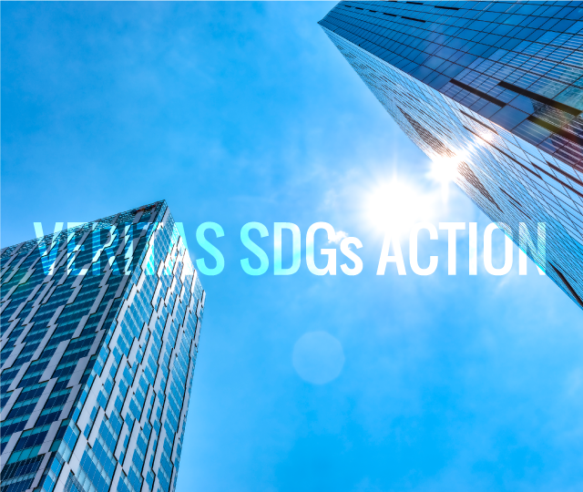 VERITAS SDGs ACTION