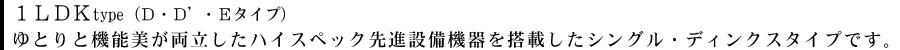 １ＬＤＫtype（Ｄ・Ｄ’・Ｅタイプ）ゆとりと機能美が両立したハイスペック先進設備機器を搭載したシングル・ディンクスタイプです。