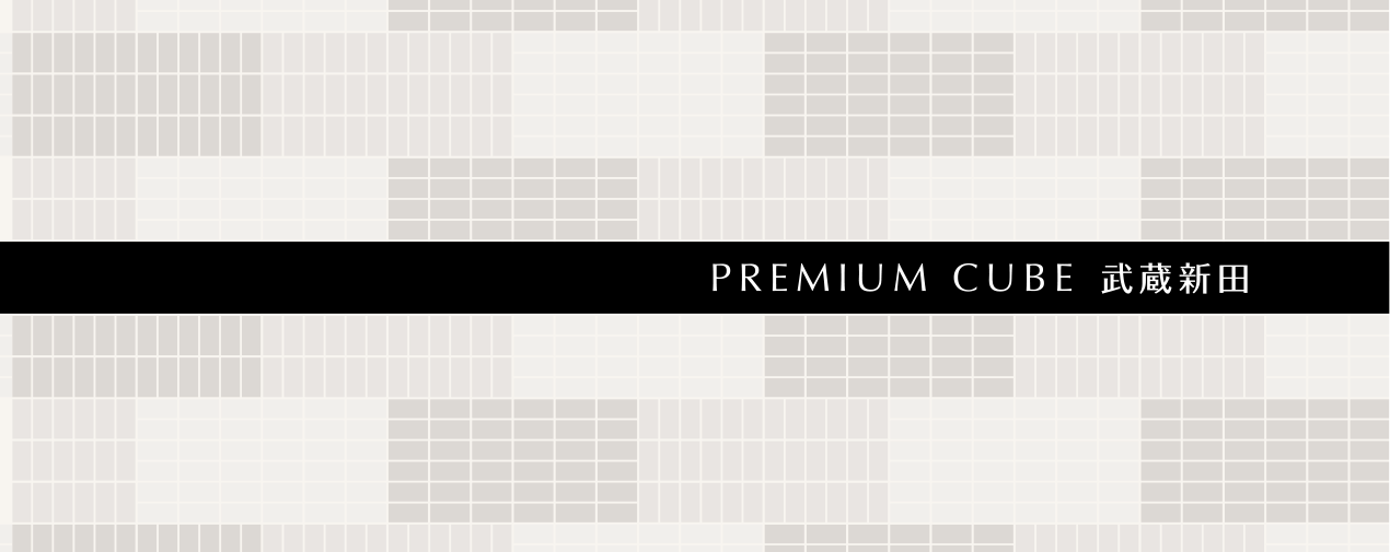 PREMIUM CUBE 武蔵新田
