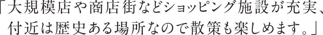 「大規模店や商店街などショッピング施設が充実、付近は歴史ある場所なので散策も楽しめます。」