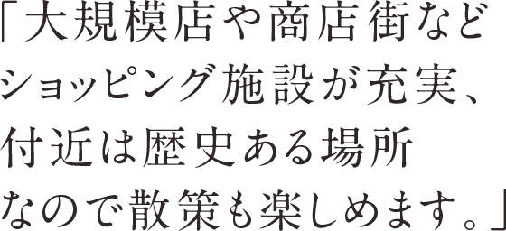 「大規模店や商店街などショッピング施設が充実、付近は歴史ある場所なので散策も楽しめます。」